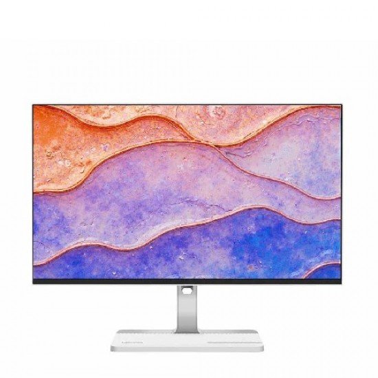 Lenovo L24D-4C 23.8 Inch FHD Display HDMI & USB-C Professional Monitor